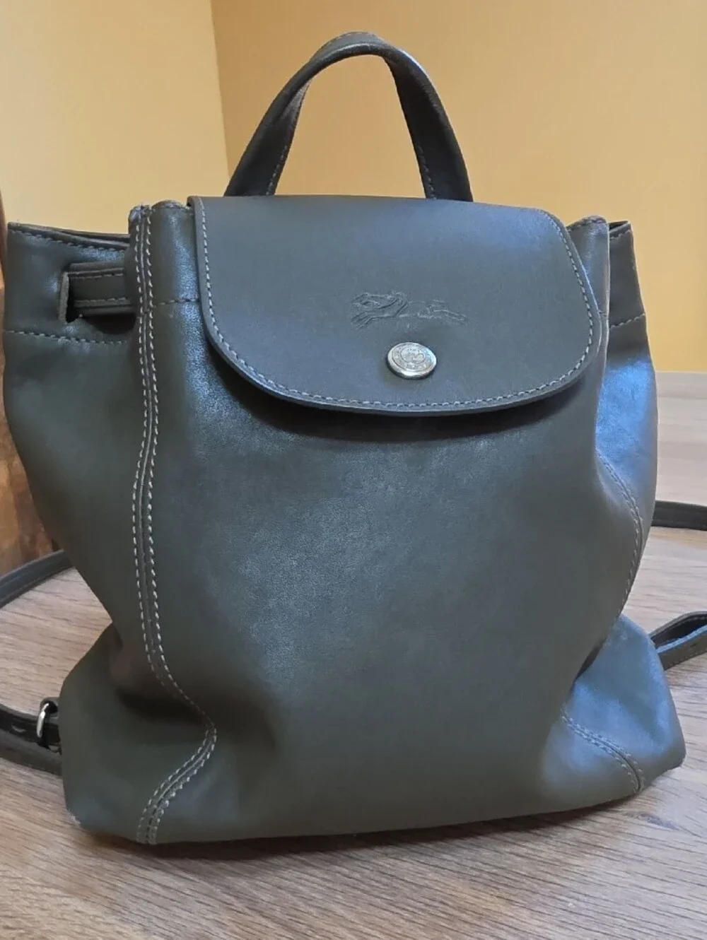 Longchamp Small Leather Backpack in Olive Green